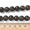 Natural Ice Obsidian Beads Strands G-P590-A01-10mm-02-3