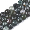 Natural Agate Beads Strands G-N326-100A-10-1