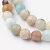 Natural Flower Amazonite Bead Strands G-G735-61-6mm-3