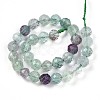 Natural Fluorite Beads Strands G-S345-6mm-31-3