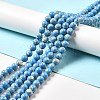 Synthetic Turquoise and Sea Shell Assembled Beads Strands G-D482-01A-04-1