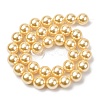 Electroplated Shell Pearl Beads Strands BSHE-G041-12mm-01-2