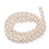 Natural Cultured Freshwater Pearl Beads Strands PEAR-L033-58-01-3