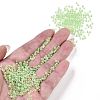 8/0 Glass Seed Beads SEED-A015-3mm-2214-4