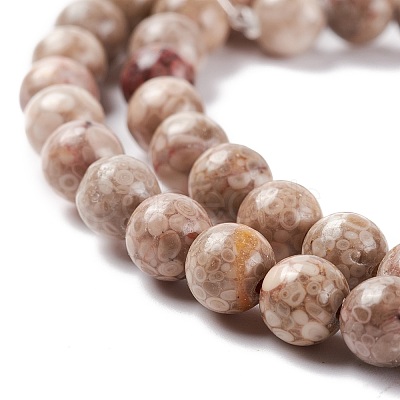 Natural Maifanite/Maifan Stone Beads Strands G-P451-01B-B-1
