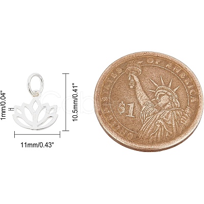 20Pcs 925 Sterling Silver Charms STER-CA0001-10-1