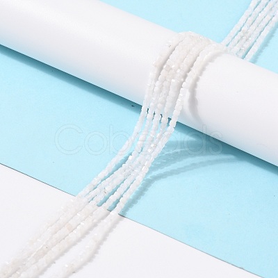 Natural Rainbow Moonstone Beads Strands G-K315-B08-1