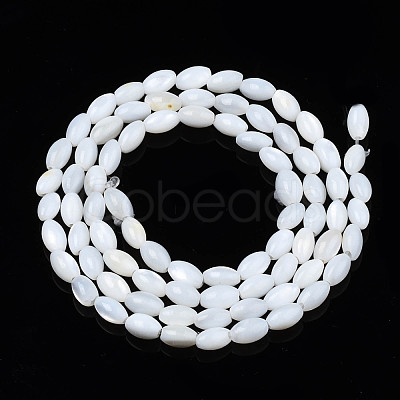 Natural Freshwater Shell Beads Strands SHEL-N003-25-A01-1