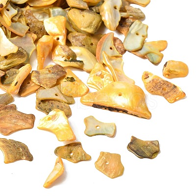 Dyed Natural Mother of Pearl Shell Nuggets Chips Beads BSHE-O007-10C-1