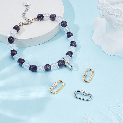 4Pcs 2 Colors 304 Stainless Steel Screw Carabiner Lock Charms STAS-HY0001-95-1