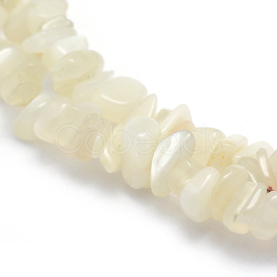 Natural White Moonstone Beads Strands X-G-P332-01-1