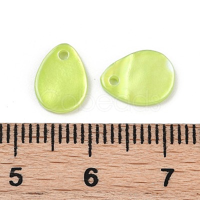 Spray Painted Natural Freshwater Shell Teardrop Charms SHEL-K006-47A-1