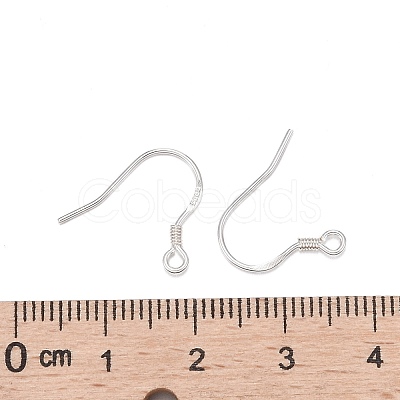 925 Sterling Silver Earring Hooks STER-E046-01S-1