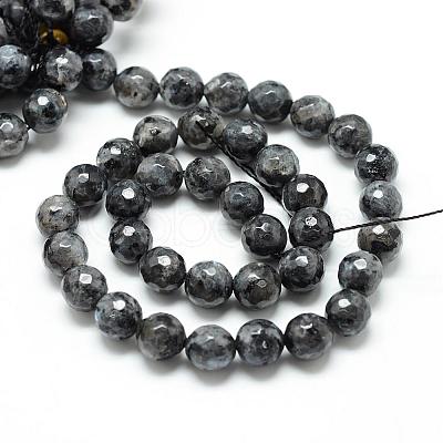 Natural Larvikite Bead Strands G-R176-6mm-07-1