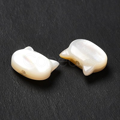 Natural White Shell Beads SHEL-G014-10A-01-1