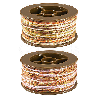2 Rolls 2 Colors Segment Dyed Round Polyester Twisted Cords OCOR-TA0003-59C-1