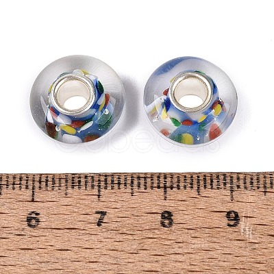 Handmade Lampwork & Brass Core European Beads LAMP-N044-09S-01-1