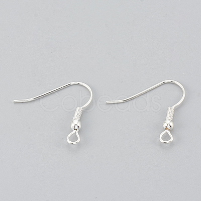 Iron Earring Hooks X-E135-S-NF-1