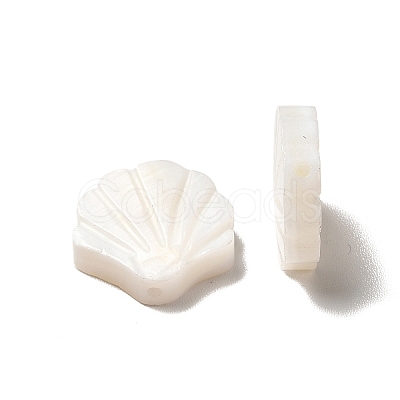 Natural Freshwater Shell Beads LS-BSHE-E026-06-1