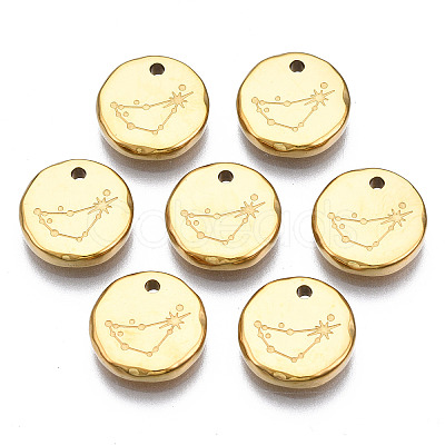 316 Surgical Stainless Steel Charms LS-STAS-S116-418C-G-1