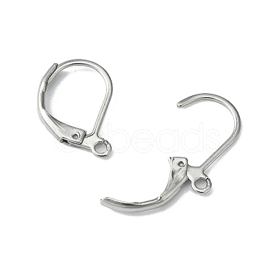 Tarnish Resistant 304 Stainless Steel Leverback Earring Findings X-STAS-S028-07-1
