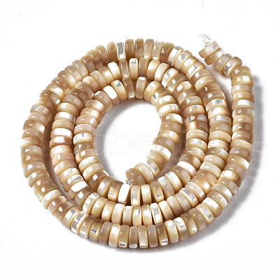 Natural Trochid Shell/Trochus Shell Beads Strands SSHEL-S266-019B-02-1