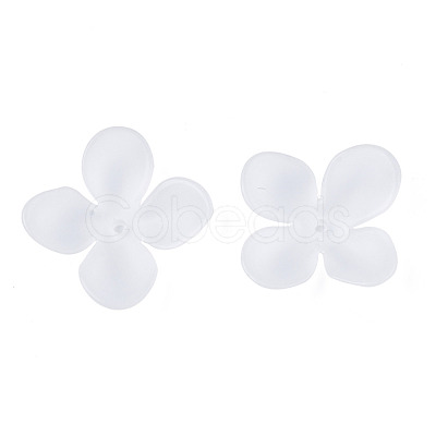 Transparent Acrylic Beads FACR-N005-003-1