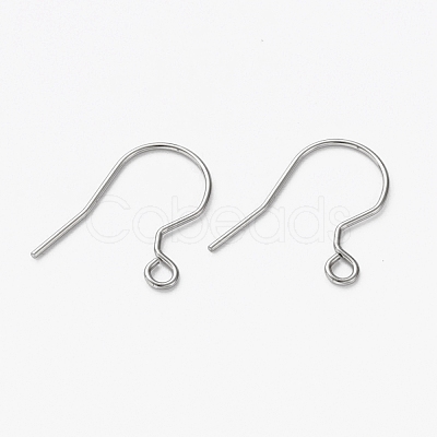 Tarnish Resistant 304 Stainless Steel Earring Hooks STAS-L253-003P-1