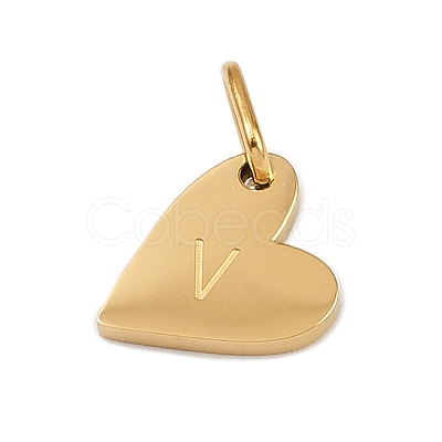 304 Stainless Steel Charms LS-STAS-L291-01G-V-1
