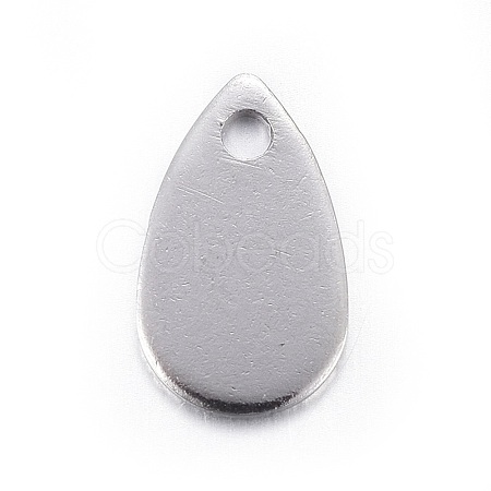 Tarnish Resistant Stainless Steel Charms STAS-L211-02B-P-1