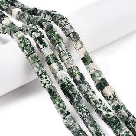Natural Green Spot Jasper Beads Strands G-T139-6x6-23A-1