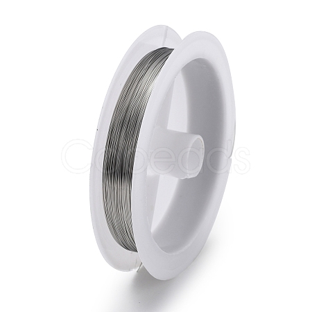 Non-Tarnish 10 Rolls 304 Stainless Steel Wire TWIR-H001-01B-P-1