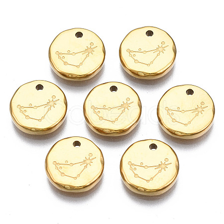 316 Surgical Stainless Steel Charms LS-STAS-S116-418C-G-1