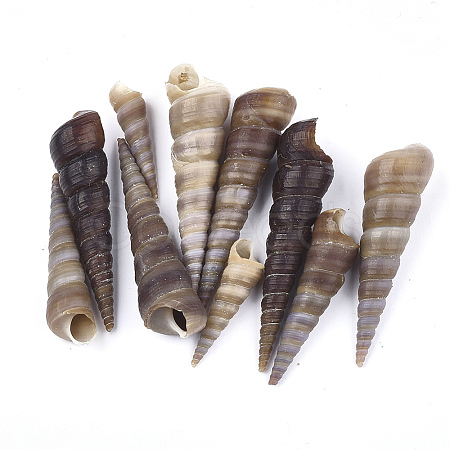 Spiral Shell Beads SSHEL-S258-34-1