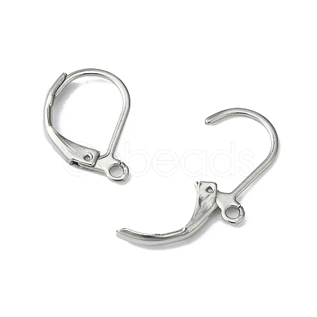 Tarnish Resistant 304 Stainless Steel Leverback Earring Findings X-STAS-S028-07-1