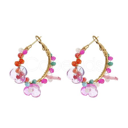 201 Stainless Steel Acrylic Hoop Earrings FS-WG443EA-16-1