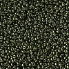 MIYUKI Round Rocailles Beads SEED-JP0008-RR0306-3