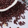 Baking Paint Glass Seed Beads X-SEED-S042-15A-19-1