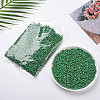 6/0 Glass Seed Beads SEED-US0003-4mm-47-5