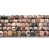 Natural Rhodonite Beads Strands X-G-Q1005-F-01-1