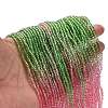 Transparent Painted Glass Beads Strands LS-DGLA-A034-T2mm-A18-2