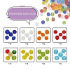 8 Colors Glass Seed Beads SEED-YW0001-61-2