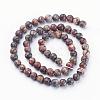 Natural Red Leopard Skin Jasper Beads Strands GSR6mmC066-3