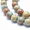 Natural Aqua Terra Jasper Beads Strands G-N0128-48-10mm-3