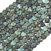 Natural African Turquoise(Jasper) Beads Strands G-A272-A01-06-3