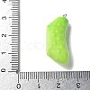 Resin Iron Pendants RESI-D280-12-3
