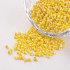 12/0 Opaque Colours Seep Glass Beads SEED-M008-C29-1