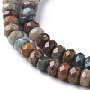 Natural Ocean Jasper Beads Strands G-F668-01-A-3