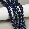 Synthetic Howlite Imitation Lapis Lazuli Beads G-S393-12A-10mm-1