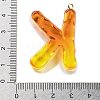 Resin Pendant FIND-Q107-01K-02-3
